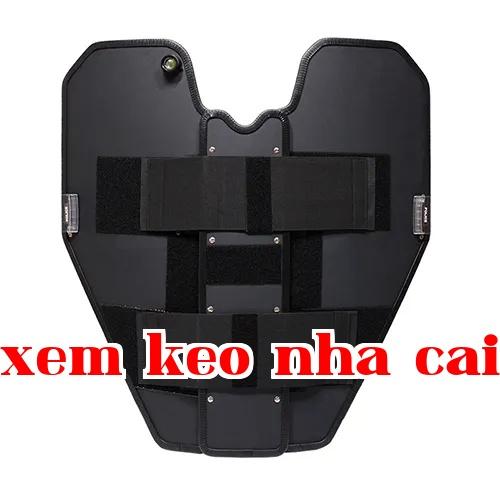 Khiên tay chống đạn bằng PE có thể gập lại (khiên tay kiểu bướm / kiểu dơi)