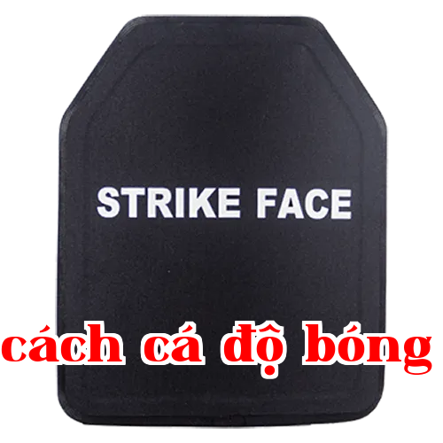 Bảng ngực chống đạn bằng PE